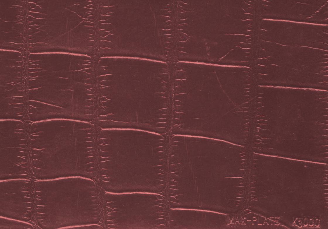 Assumenda accus antium